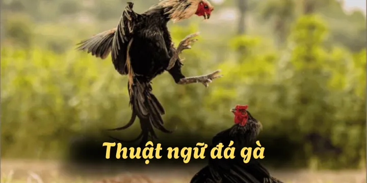 Cổng game VN69.Vip nơi dành cho người chiến thắng
